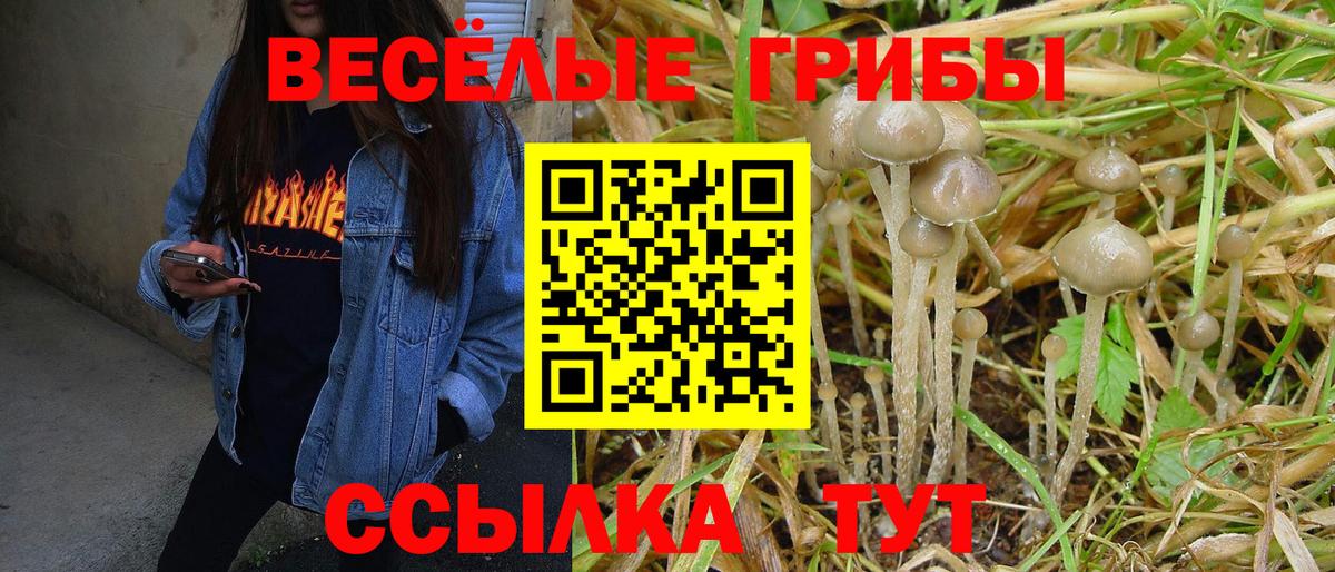 Усть-Джегута  Псилоцибиновые грибы Magic Shrooms  Вход с VPN 